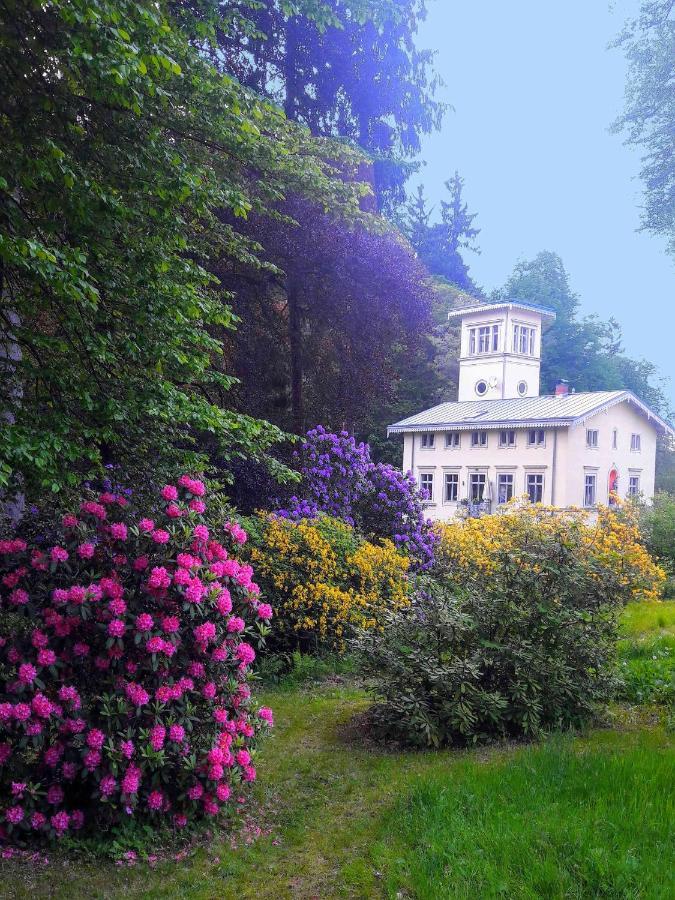 Вилла Rapunzel Trifft Dornroeschen Rosenthal-Bielatal Экстерьер фото