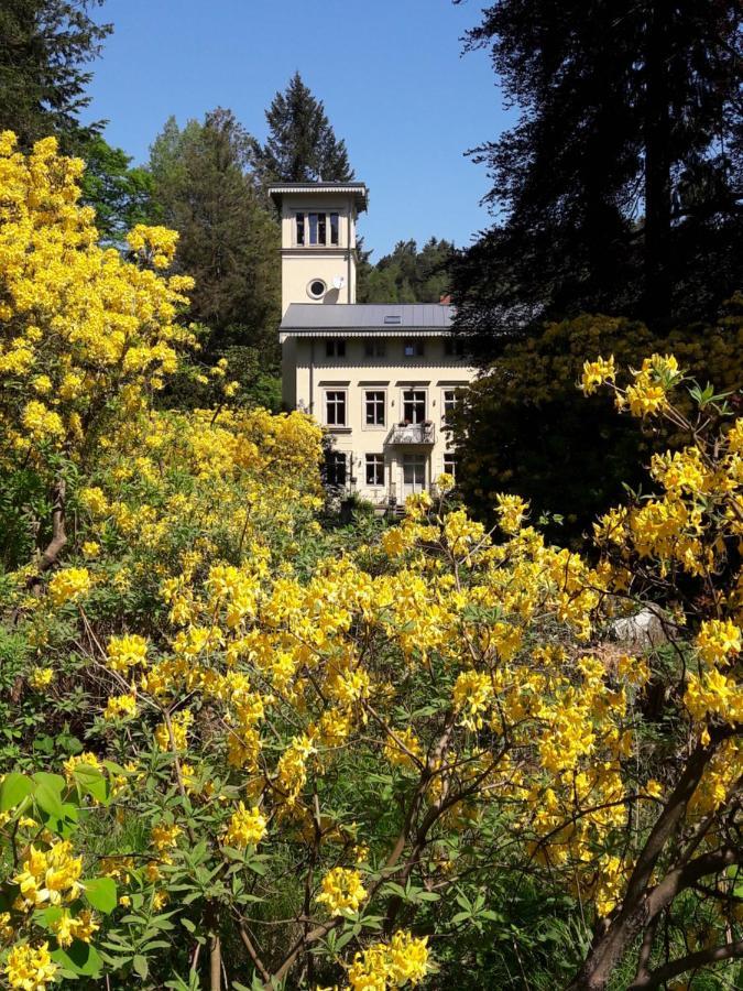 Вилла Rapunzel Trifft Dornroeschen Rosenthal-Bielatal Экстерьер фото