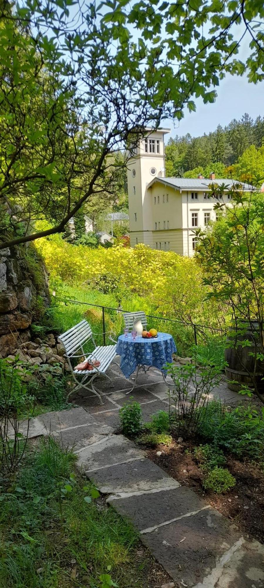 Вилла Rapunzel Trifft Dornroeschen Rosenthal-Bielatal Экстерьер фото